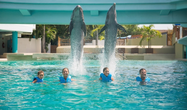 Nadando con delfines