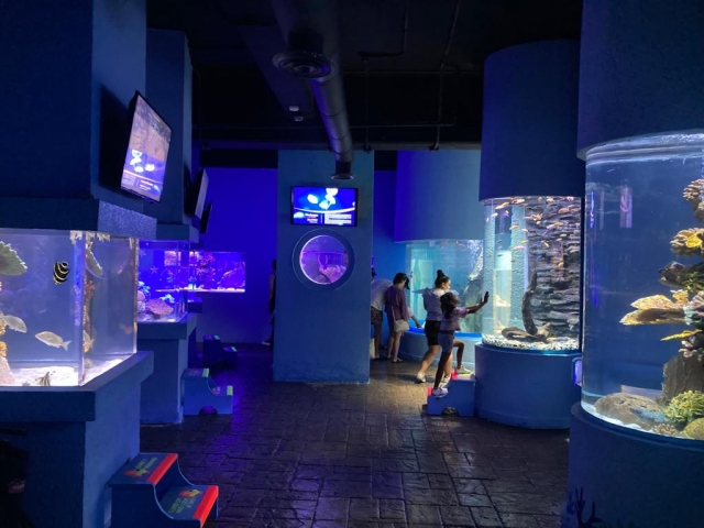 Interactuando con peceras en el acuario