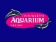 Interactive Aquarium