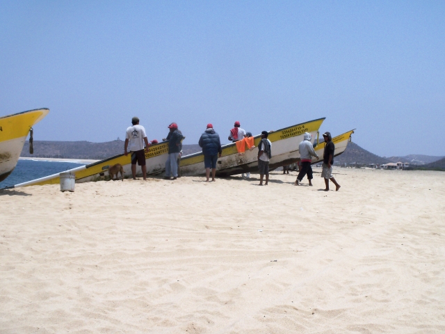 llegando a Punta Lobos
