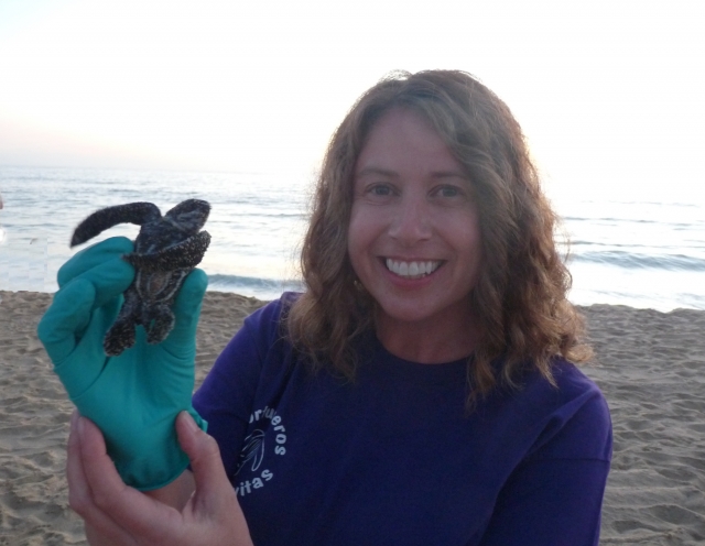 Voluntario de Tortuguas Marinas