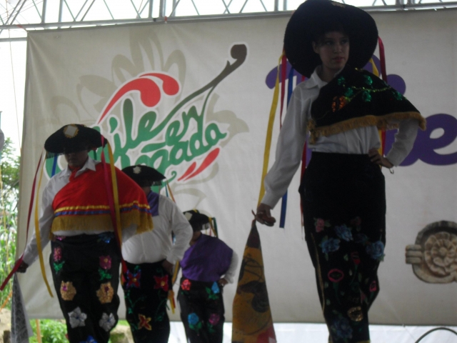 Bailes tradicionales