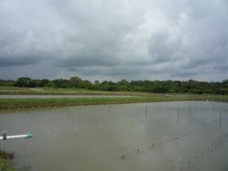Granja La Pesca