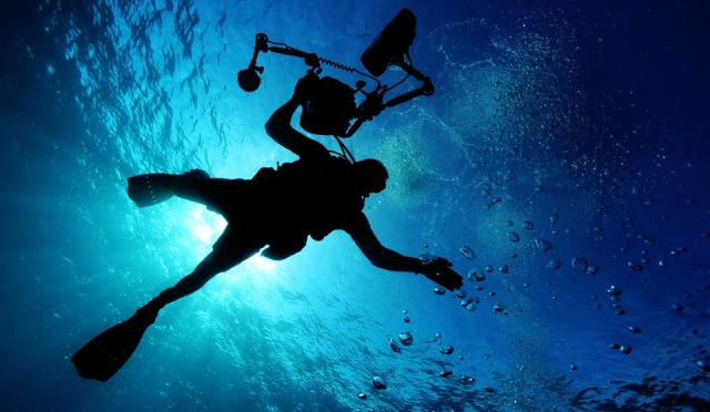 Disfruta del buceo 