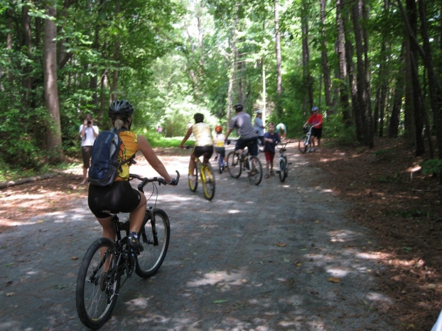 En bici entre los caminos del bosque