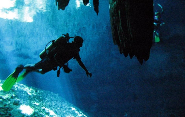 Buceo