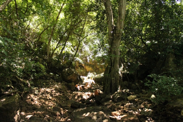 Grutas