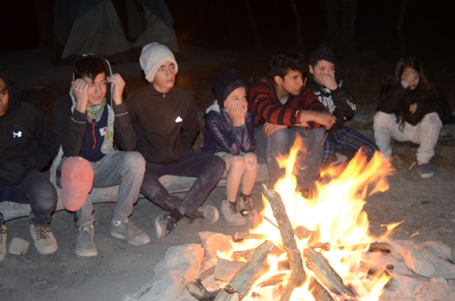 fogata grupo campamento