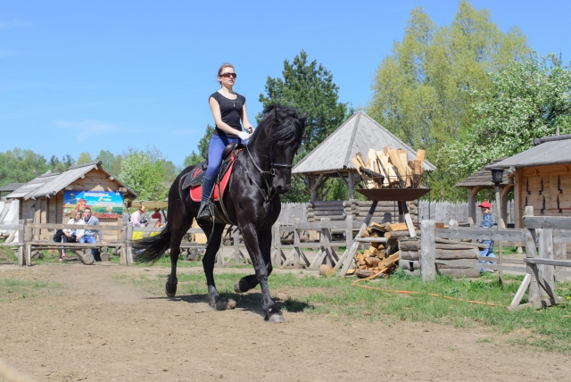 Caballos en Huatulco