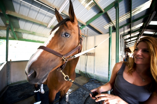 Encantadoternera amigos