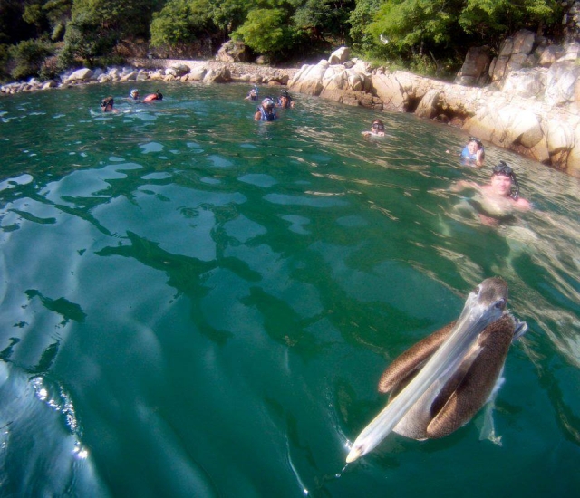 Localiza la flora y fauna