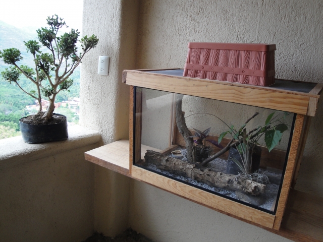 Insectario