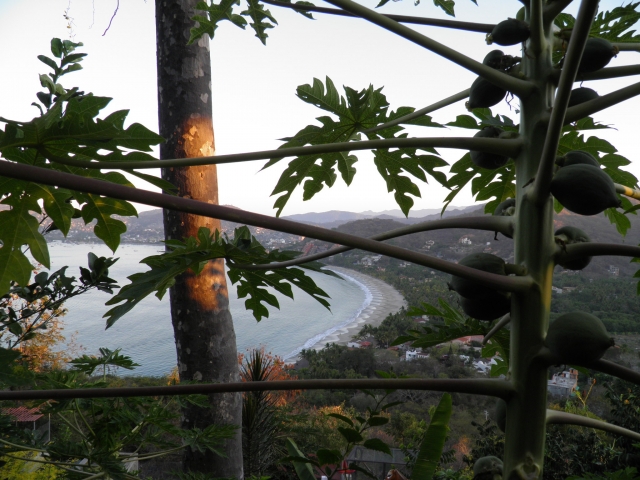 Vista en el jardin botanico