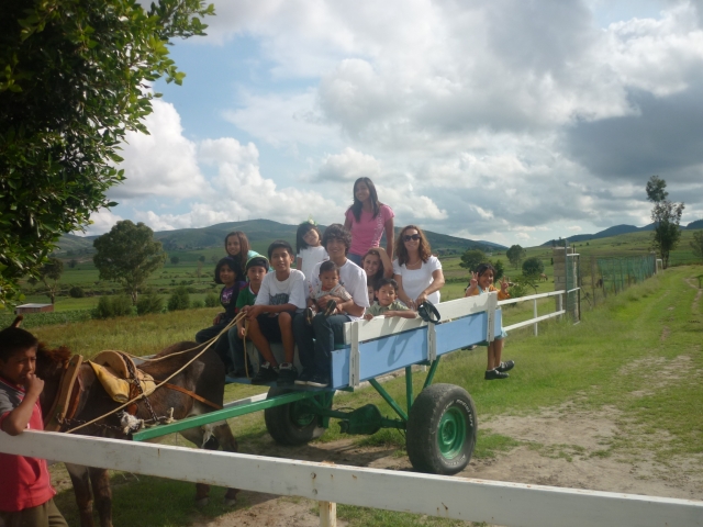 De paseo en carreta