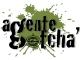 Agente Gotcha Pachuca