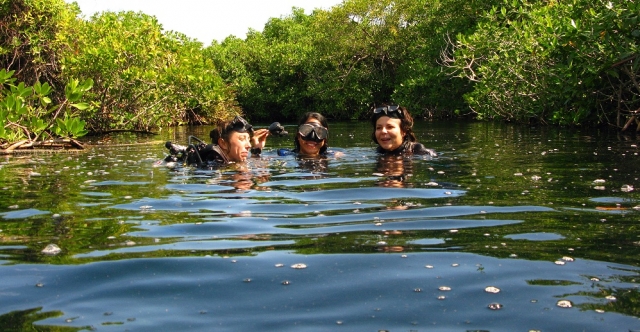 Buceo