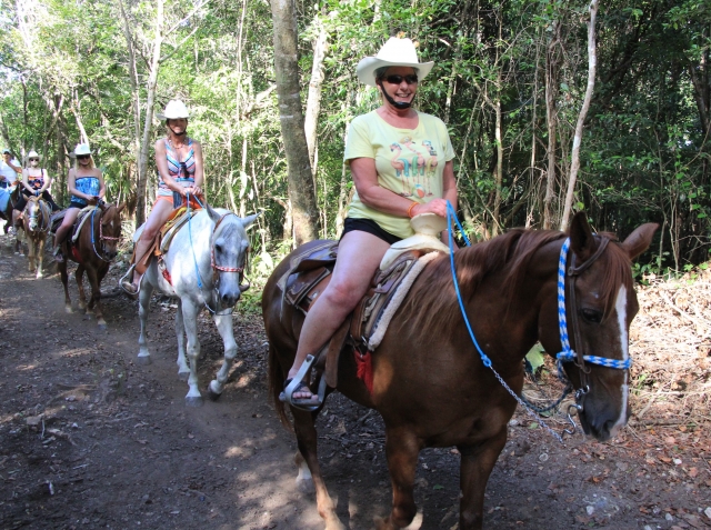 paseos en caballos