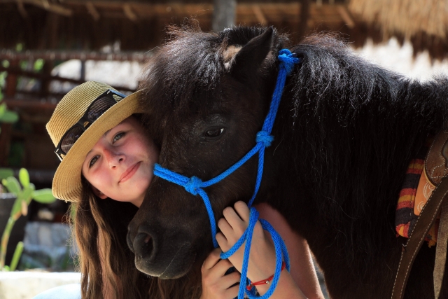 caballos amaestrados 