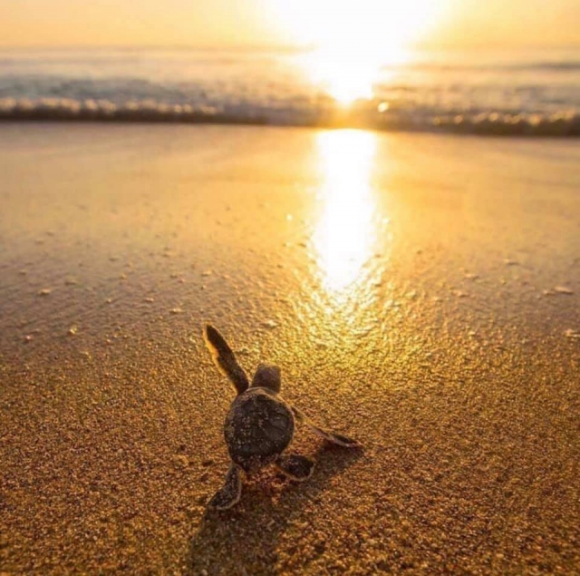 127238356_1556783937842954_7760283122733932119_n