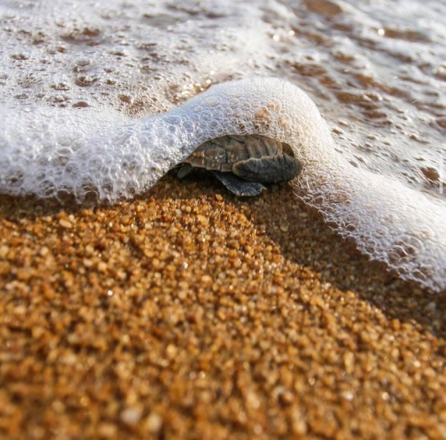 127619946_1556783964509618_1929661458581836049_n