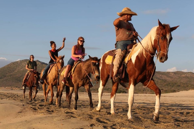 Paseos a caballo
