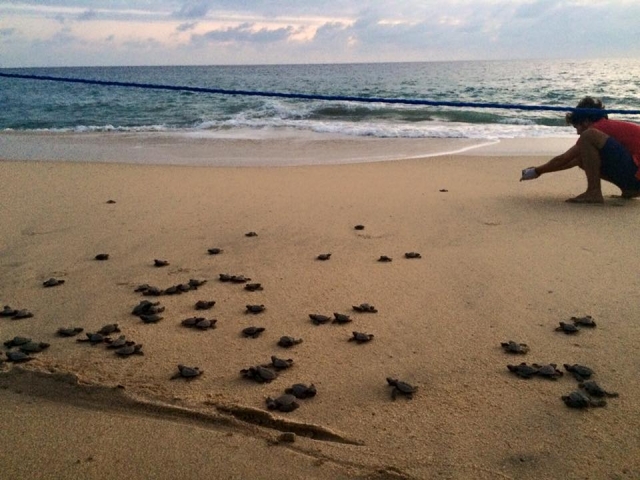 Playa de Los Cabos