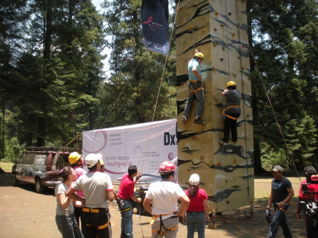Cursos dirigidos a empresas
