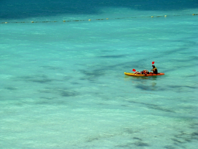 Vive esta experiencia