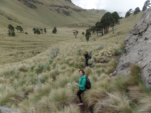 Conoce los volcanes
