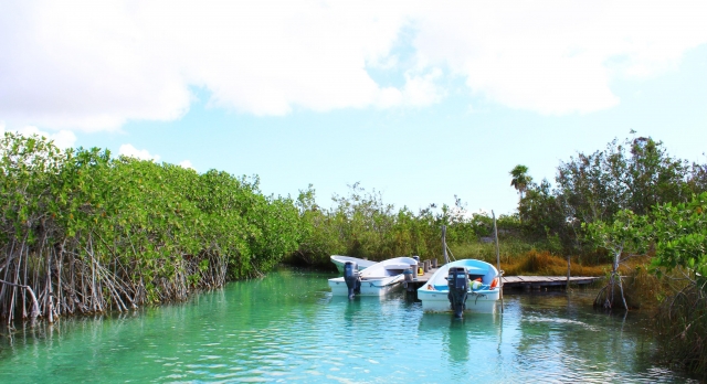 Paseo en barco