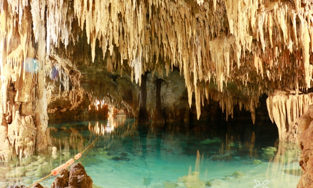 Conoce los cenotes