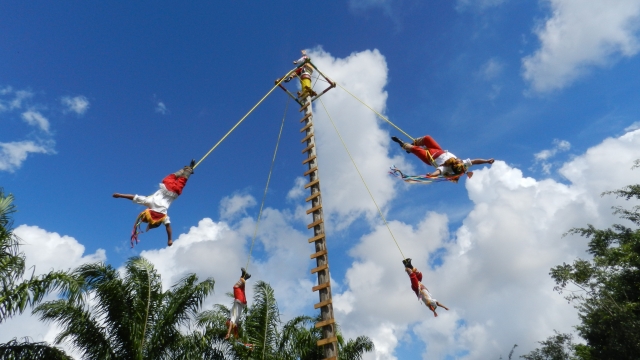 Voladoternera de Papantla