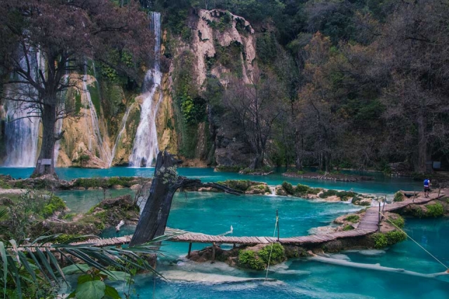 Lugaternera con magia en la Huasteca 