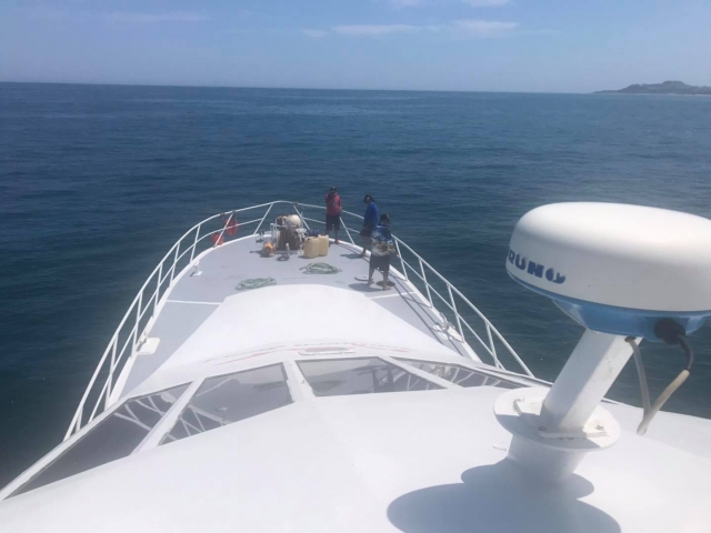 Visita guiada en yate