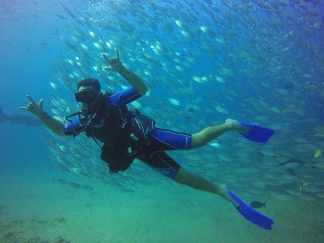 Enchufe con los peces