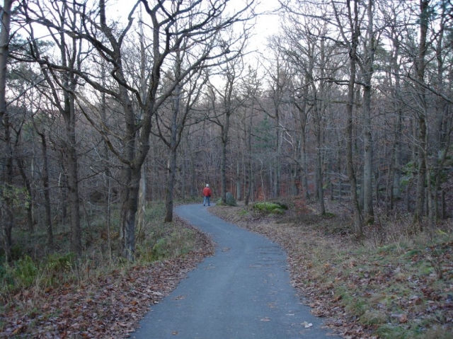 Adentrandose entre hojas caidas