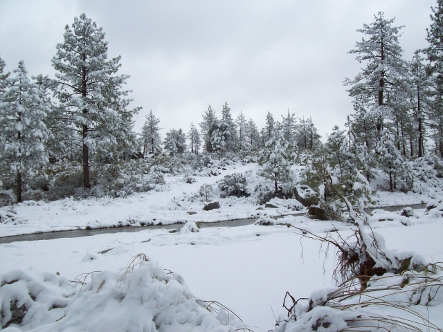 nevado el arrollo del rancho