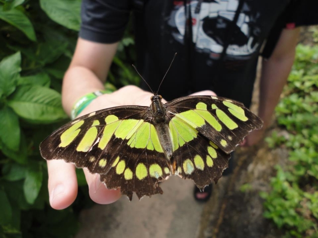 Mariposario
