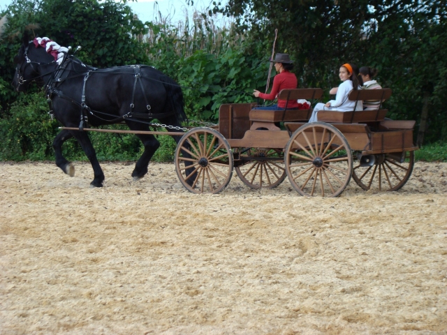 Paseos en el campo