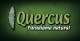 Quercus 