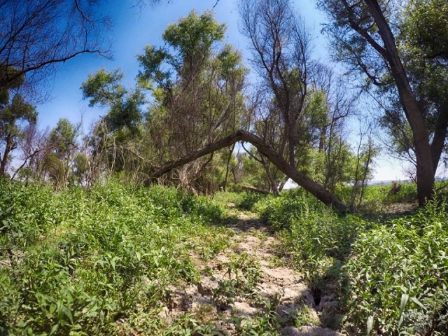 Conoce lo mas bello de San Miguel