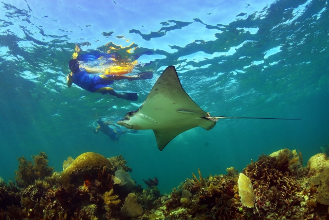 descubre las profundidades