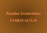Cenote Yaxbacaltun Buceo
