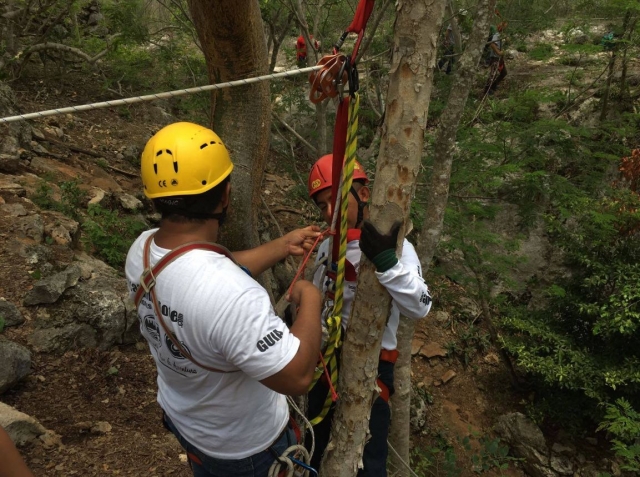 Sujetando las cuerdas al arbol