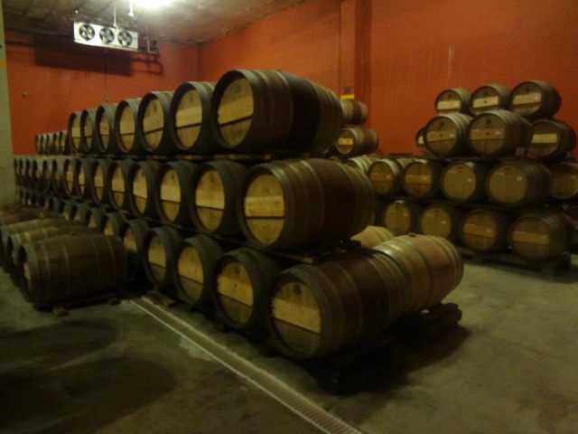 Bodegas