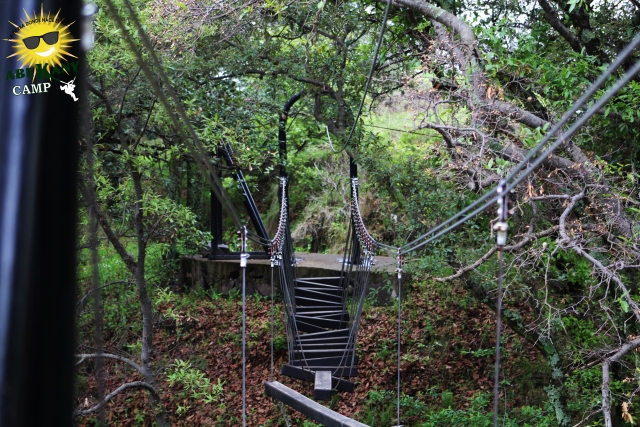 Increíbte puente