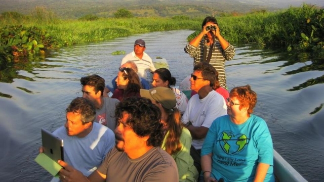 Guias