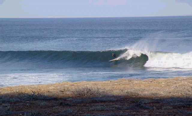 Olas
