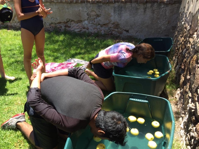 Jugando a morder las manzanas en las cubetas