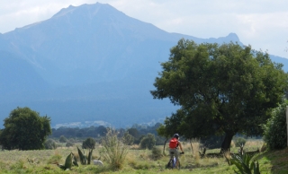 México Viejo Tours